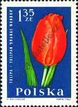 Známka Polsko Katalogové číslo: 1547