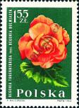 Známka Polsko Katalogové číslo: 1549