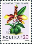 Známka Polsko Katalogové číslo: 1612