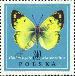 Známka Polsko Katalogové číslo: 1803