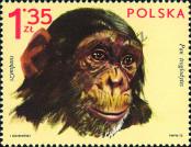 Známka Polsko Katalogové číslo: 2165