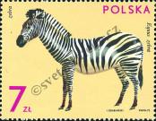 Známka Polsko Katalogové číslo: 2170