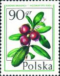Známka Polsko Katalogové číslo: 2488