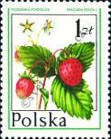 Známka Polsko Katalogové číslo: 2489