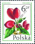 Známka Polsko Katalogové číslo: 2493