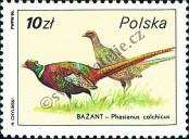 Známka Polsko Katalogové číslo: 3021