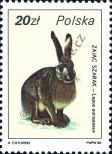 Známka Polsko Katalogové číslo: 3023