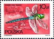 Známka Polsko Katalogové číslo: 3134