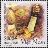 Známka Vietnamská socialistická republika | Severní Vietnam Katalogové číslo: 3153