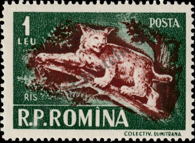 Katalogové číslo: 1571
