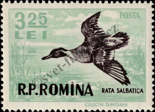 Katalogové číslo: 1575