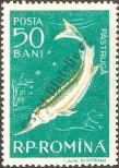 Známka Rumunsko Katalogové číslo: 1689