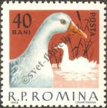 Známka Rumunsko Katalogové číslo: 2147