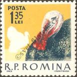 Známka Rumunsko Katalogové číslo: 2151