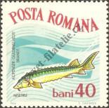 Známka Rumunsko Katalogové číslo: 2283