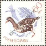 Známka Rumunsko Katalogové číslo: 2435