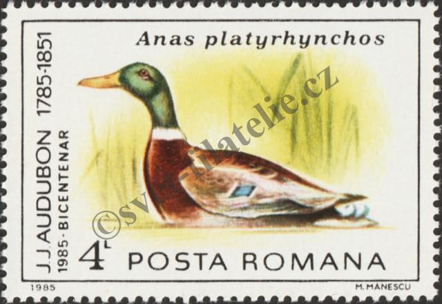 Katalogové číslo: 4154