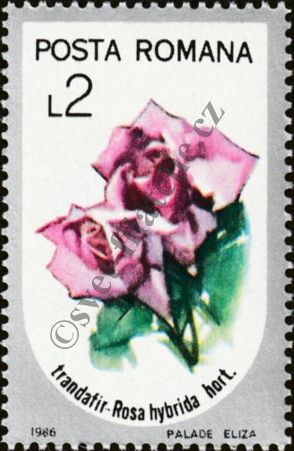 Katalogové číslo: 4270