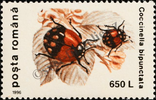 Katalogové číslo: 5190