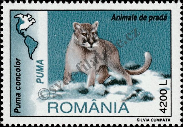Katalogové číslo: 5536