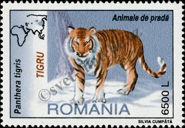 Katalogové číslo: 5537