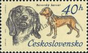 Známka Československo Katalogové číslo: 2156