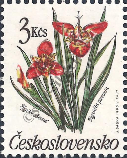 Katalogové číslo: 3040