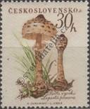 Známka Československo Katalogové číslo: 1101