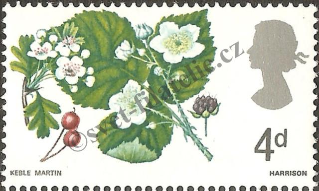 Katalogové číslo: 446
