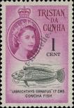 Známka Tristan da Cunha Katalogové číslo: 43