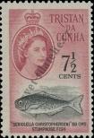 Známka Tristan da Cunha Katalogové číslo: 50