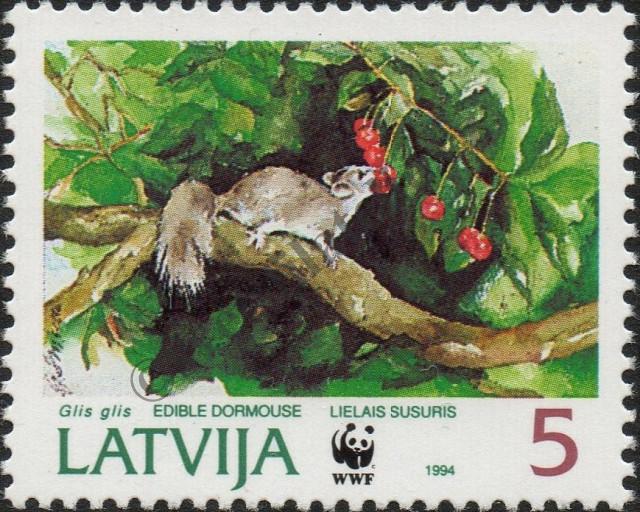 Katalogové číslo: 378