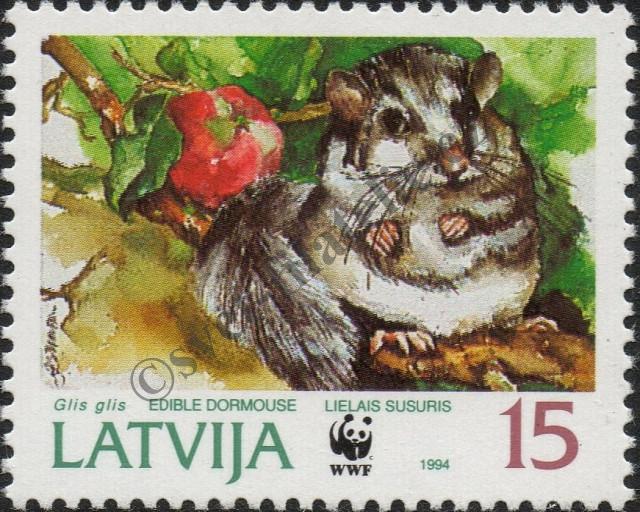 Katalogové číslo: 381