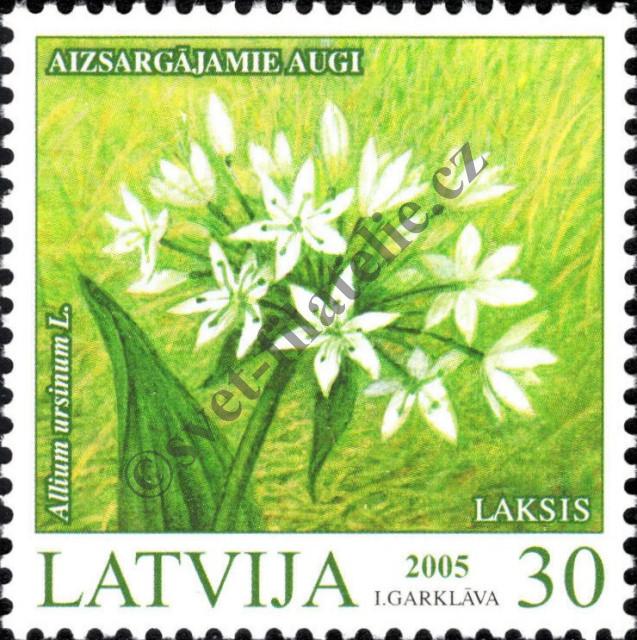 Katalogové číslo: 632/A