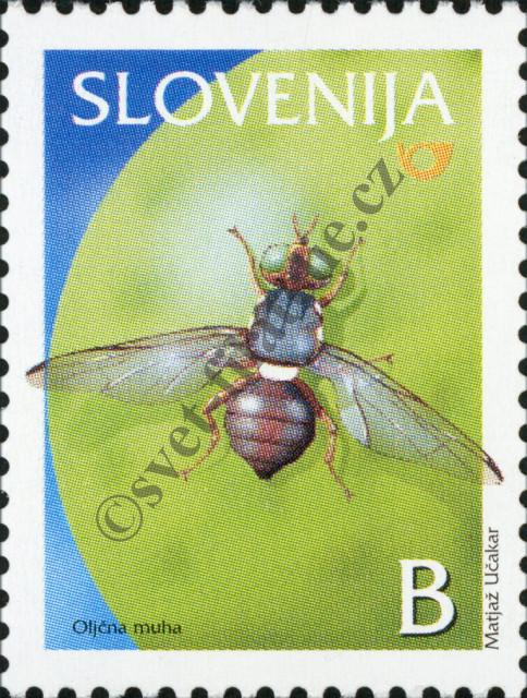 Katalogové číslo: 433
