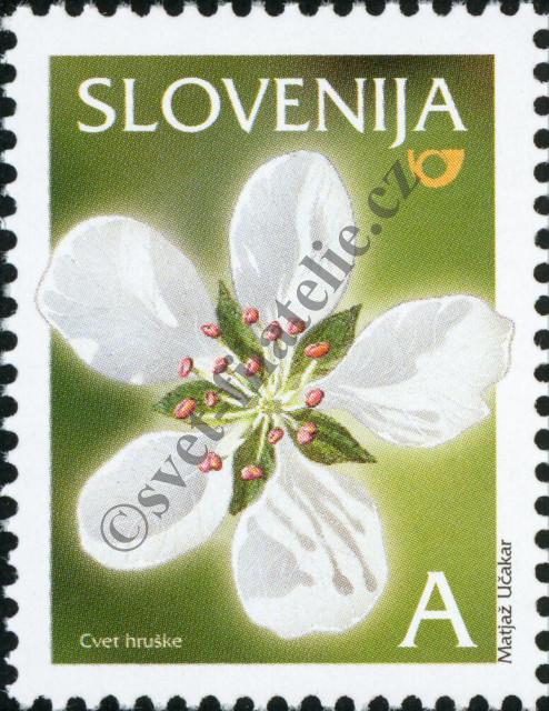 Katalogové číslo: 479