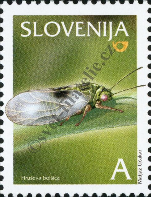 Katalogové číslo: 480