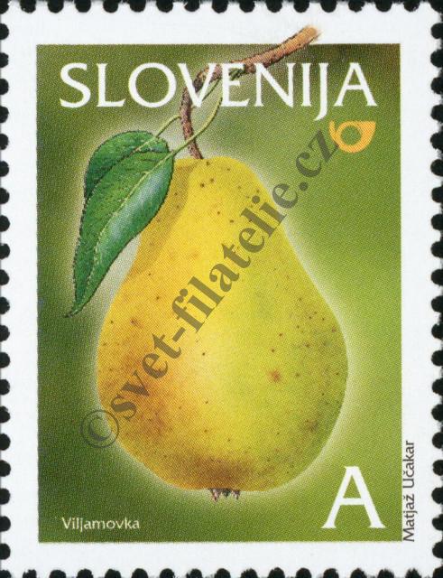 Katalogové číslo: 481
