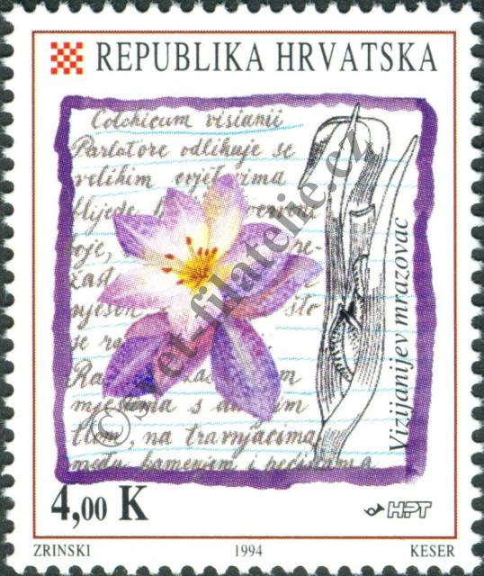 Katalogové číslo: 277