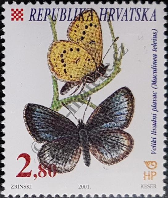 Katalogové číslo: 574