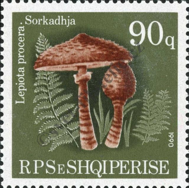 Katalogové číslo: 2432