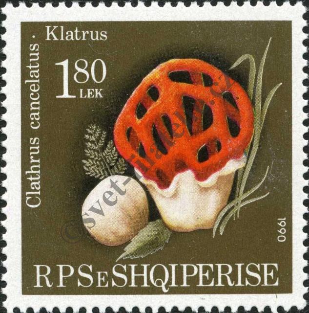 Katalogové číslo: 2434