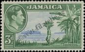 Známka Jamajka Katalogové číslo: 125/A