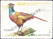 Známka Kuba Katalogové číslo: 1631