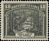 Známka Guyana Katalogové číslo: 163/A