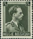 Známka Belgie Katalogové číslo: 481/a