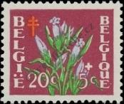 Známka Belgie Katalogové číslo: 876