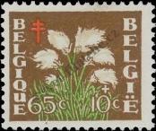 Známka Belgie Katalogové číslo: 877