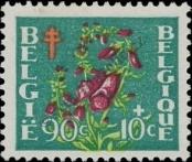 Známka Belgie Katalogové číslo: 878