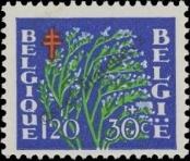Známka Belgie Katalogové číslo: 879